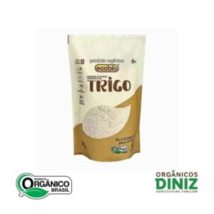 Farinha De Trigo Integral Ecobio (400g)