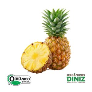 Abacaxi Orgânico (und)