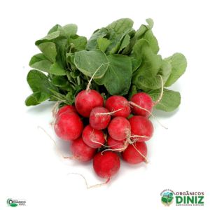 Rabanete Orgânico (mç)