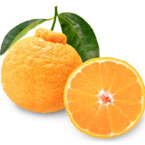 Tangerina Decopom Sem Sementes Orgânica kg