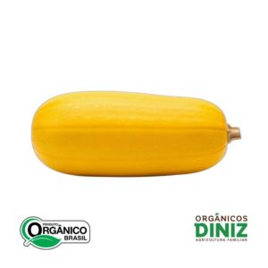 Abóbora Spaguetti Orgânica kg