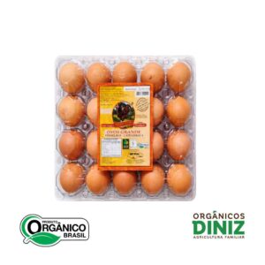 Ovos Grandes Vermelhos Orgânicos Bandeija c/ 20