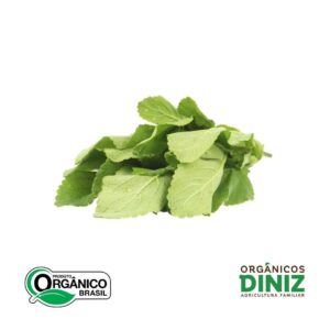 Boldo Orgânico (mç)