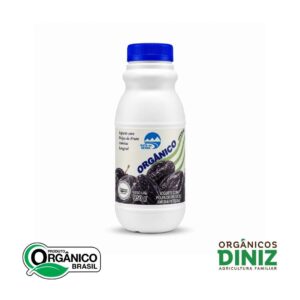 Iorgute Integral Polpa de Ameixa 950g