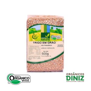 Trigo em Grão Coopernatural Integral 500g