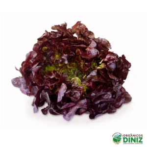 Alface Roxa orgânica (und)