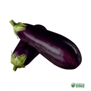Berinjela Orgânica (500g)