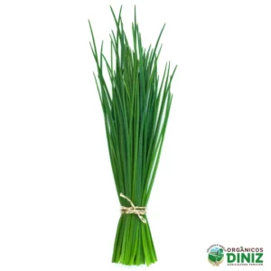 Cebolinha Orgânica (mç)