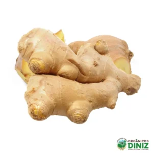 Gengibre Orgânico 100g