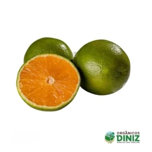 Laranja Pera Orgânica (kg