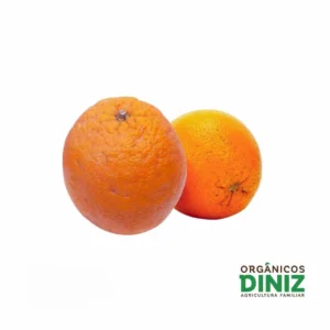 Laranja Casca Feia "Suco" Orgânica kg
