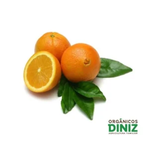 Laranja Umbigo (Bahia) Orgânica kg