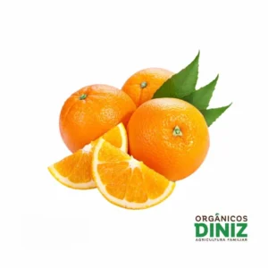 Laranja Suco Orgânica (kg)