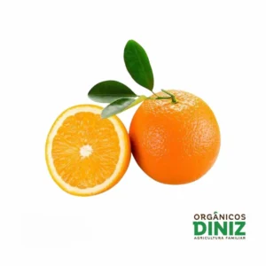 Laranja Lima Orgânica 500g
