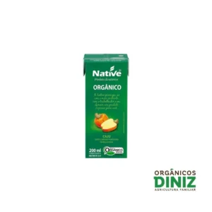 Suco Native Orgânico Caju 200ml