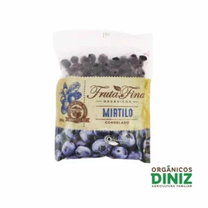 Mirtilo Congelado Fruta Fina (300g)