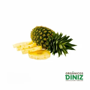 Pacote de Polpa de Abacaxi orgânico 500g
