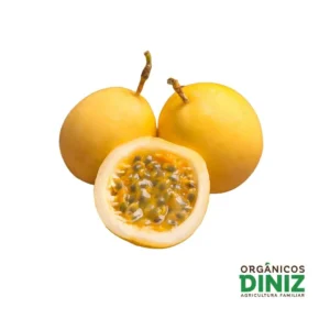 Pacote de polpa de maracujá orgânico 500g