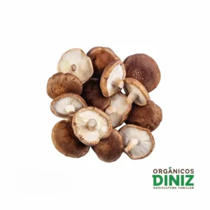 Cogumelos Shitake Orgânico Do Vale (bdj)
