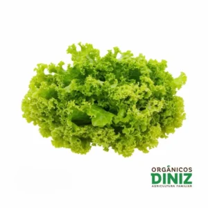 Alface Crespa Orgânica (und)