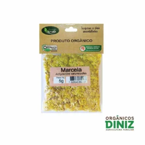 Macela Quintal Verde 5G