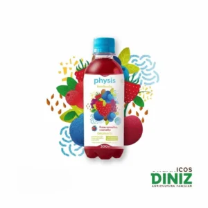 Kombucha com Frutas Vermelhas e Carvalho Orgânico 300ml