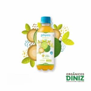 Kombucha com Limão e Gengibre Orgânico 300ml
