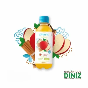 Kombucha com Maça, Cravo e Canela Orgânico 300ml
