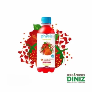 Kombucha com Morango, Hibisco e Pimenta Rosa Orgânico 300ml