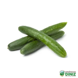 Pepino Japonês Orgânico 500g