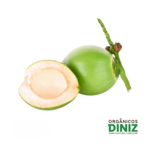 Coco Verde Orgânico (und)