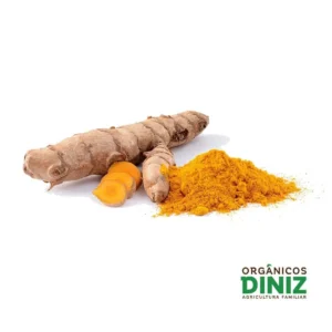 Açafrão (cúrcuma) in natura (100g)