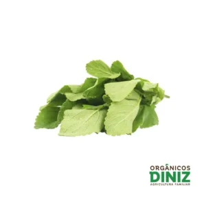 Boldo Orgânico (mç)