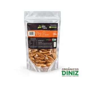 Noz Pecan Orgânica Sem Casa 100g