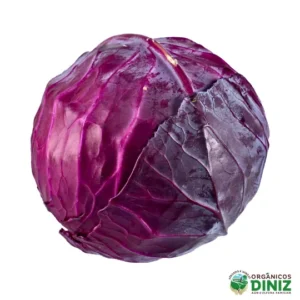 Repolho Roxo Orgânico (und)