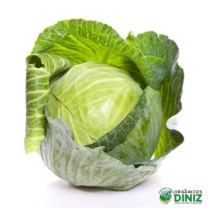Repolho Verde Orgânico (und)