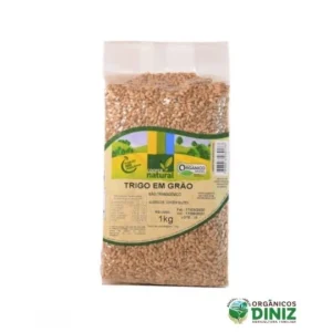 Trigo em Grãos Orgânico (500g)